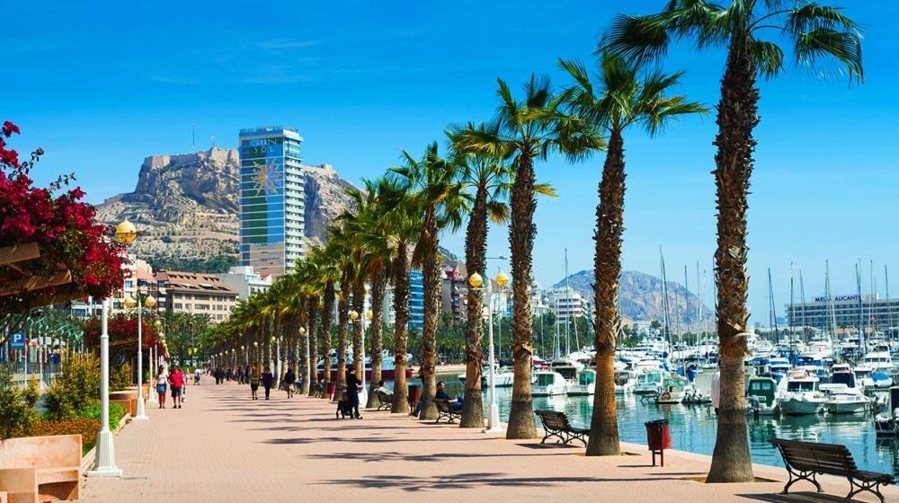 Luxury Apartments Near The Beach And Downtown Centrum 8 Alicante Bagian luar foto